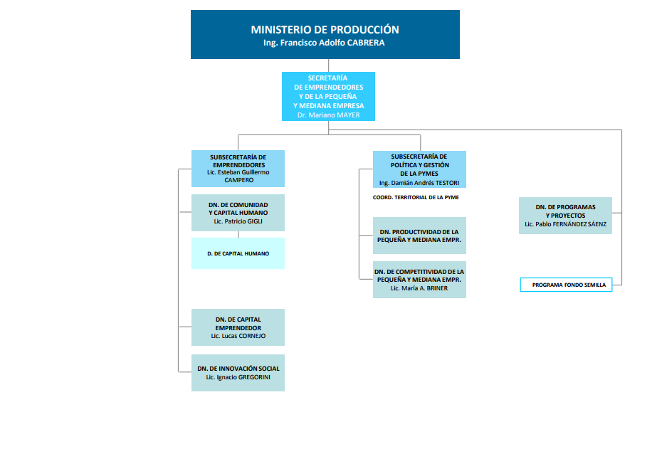 Organigrama SePyme Lic. Pablo Fernández Sáenz